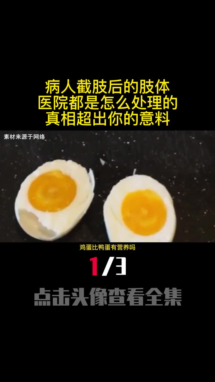 鸡蛋比鸭蛋有营养吗为啥人们都吃鸡蛋却很少吃鸭蛋1