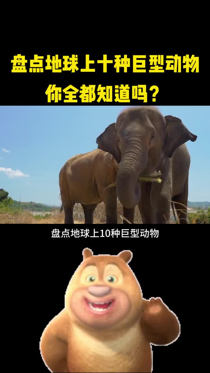 盘点地球上的十种巨型动物你都知道吗
