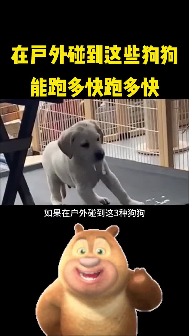 在户外碰到这些狗狗一定要赶快跑