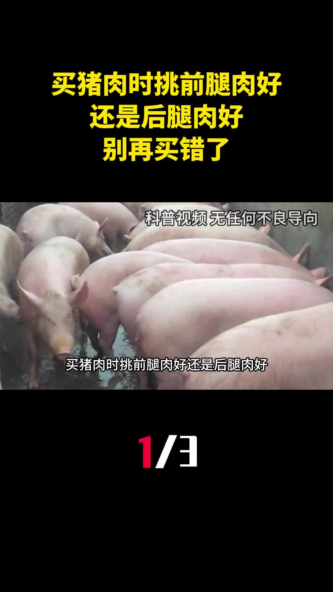买猪肉时挑前腿肉好还是后腿肉好肉贩子说漏嘴别再买错了1