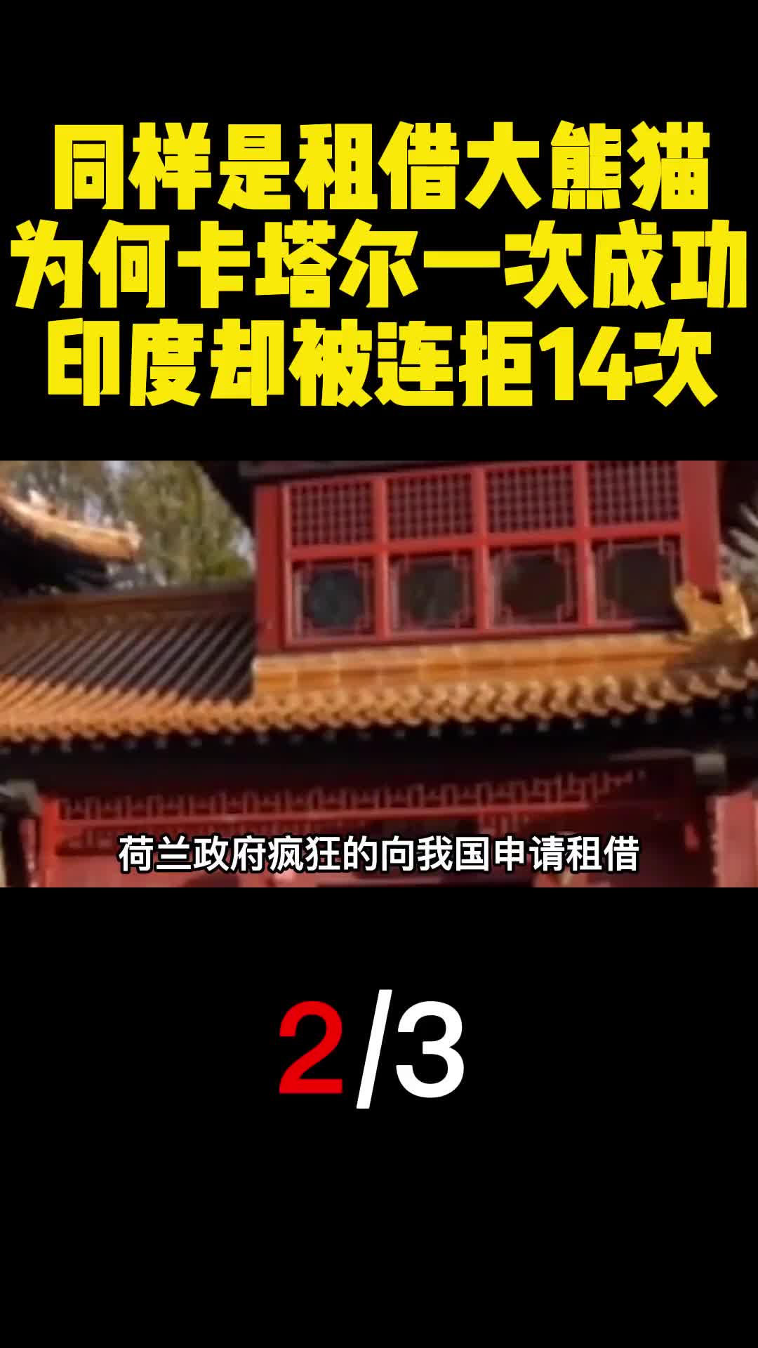 同样是租借大熊猫为何卡塔尔一次成功印度却被连拒14次2