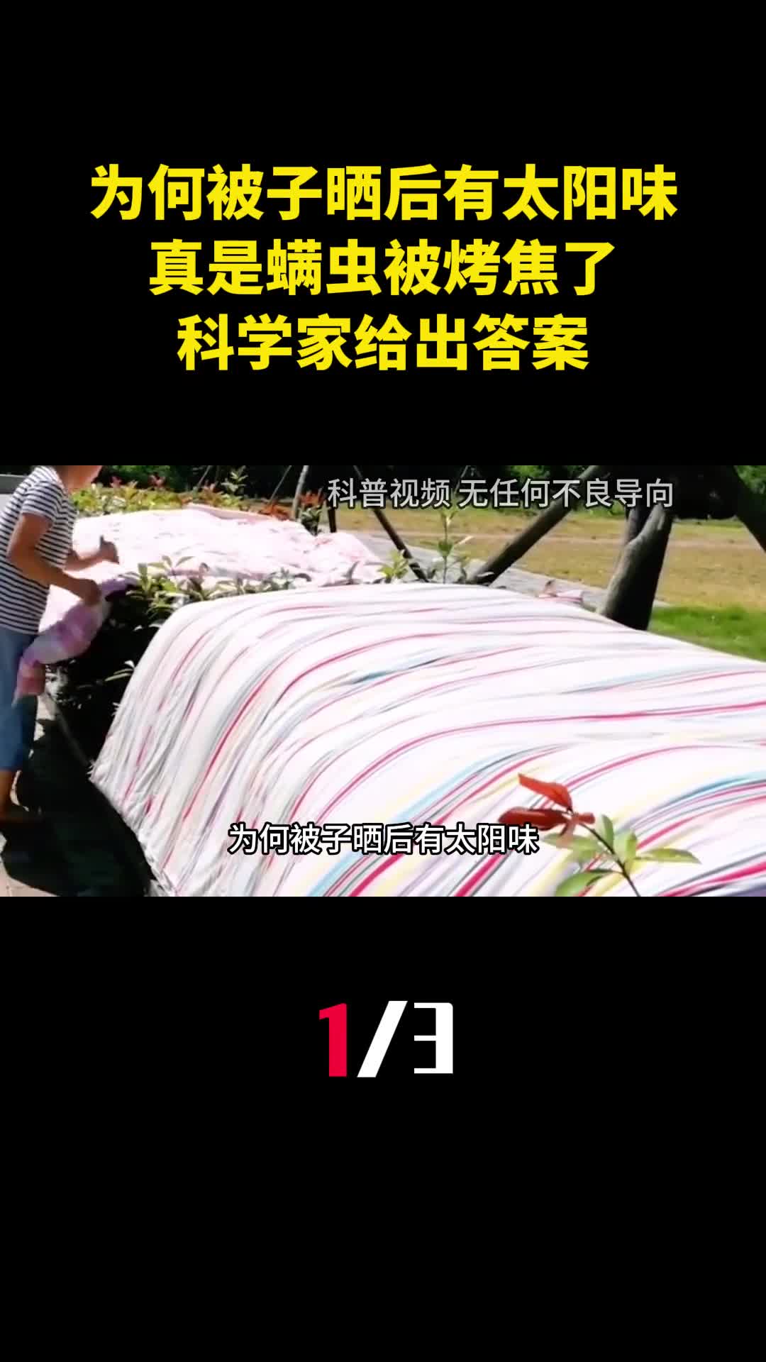 为何被子晒后有太阳味真是螨虫被烤焦了科学家给出答案1