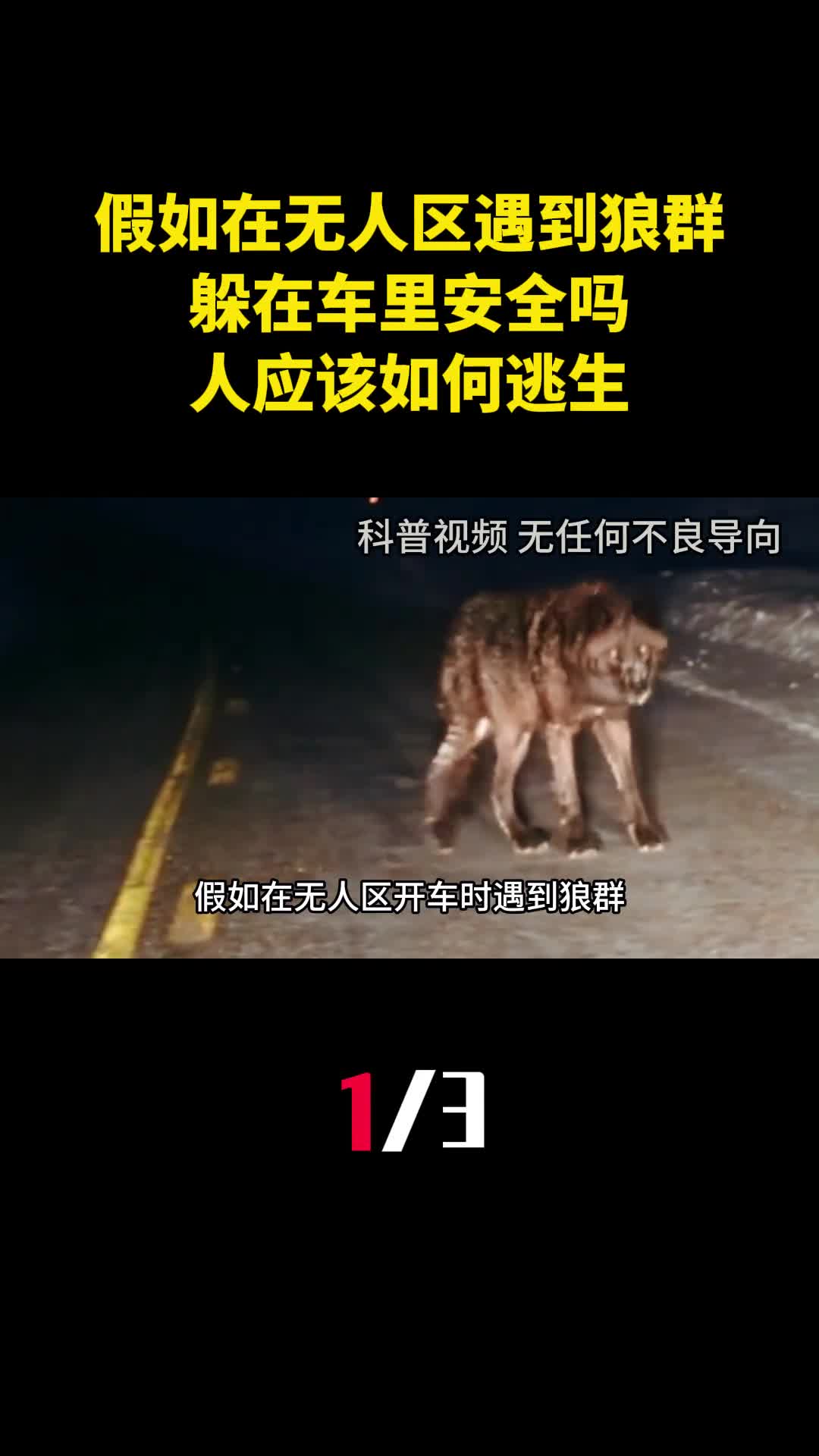 假如在无人区开车时遇到狼群躲在车里安全吗人应该如何逃生1