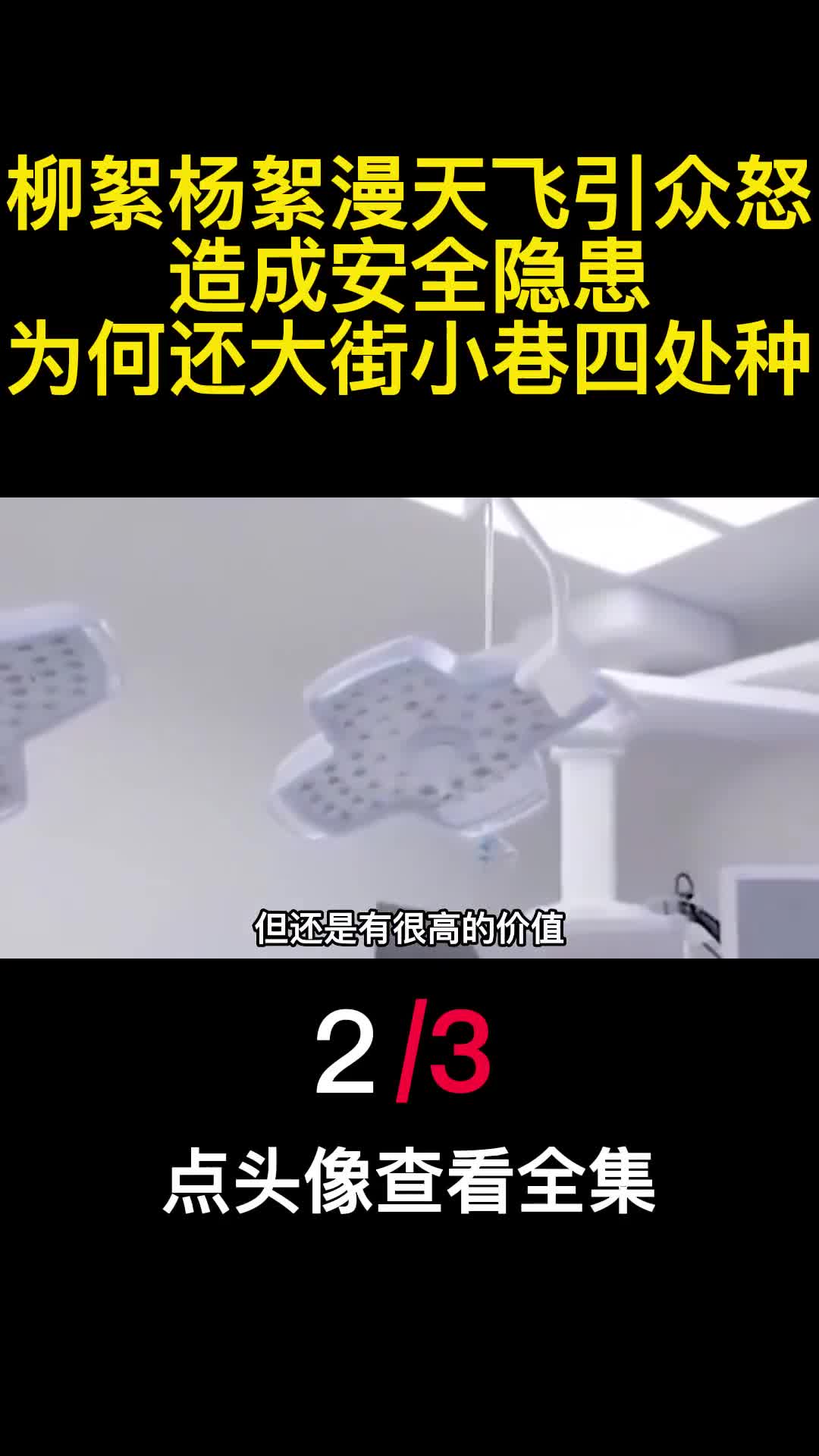 柳絮杨絮漫天飞引众怒造成安全隐患为何还大街小巷四处种2