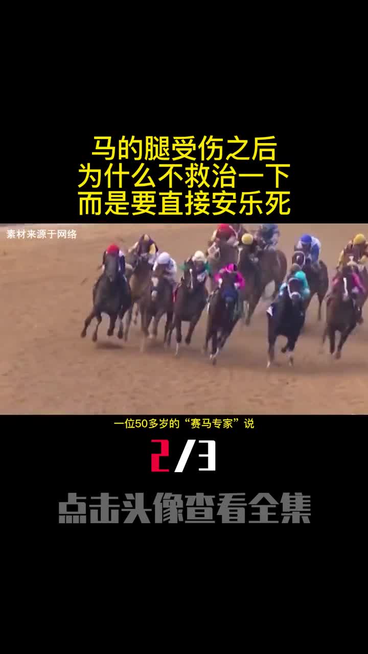 马的腿受伤之后为什么不救治一下而是要直接安乐死2