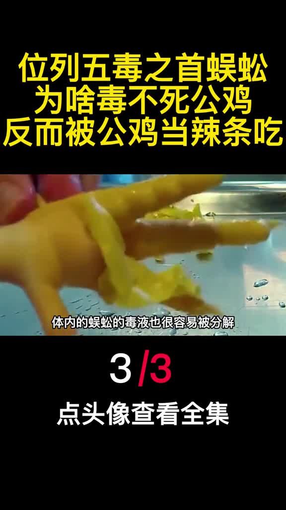 位列五毒之首蜈蚣为啥毒不死公鸡反而被公鸡当辣条吃3
