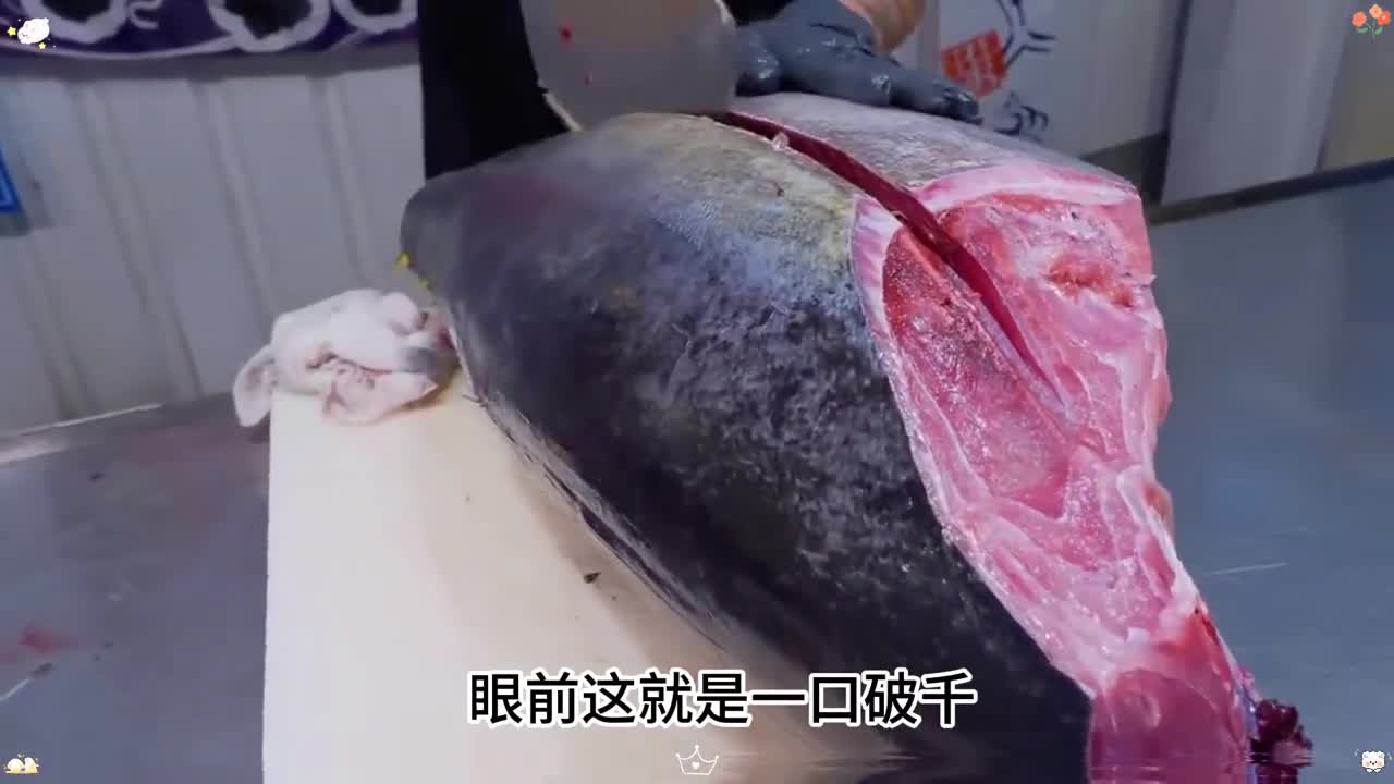 金枪鱼刺身或者罐头你喜欢哪个呢