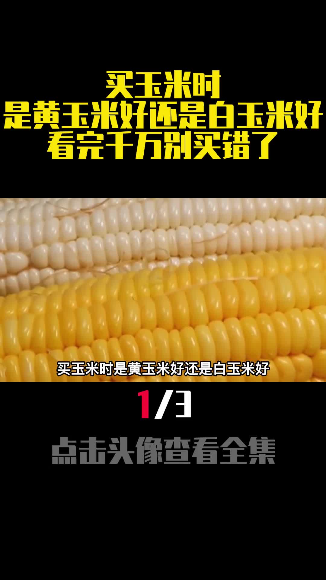 买玉米时是黄玉米好还是白玉米好看完千万别买错了1