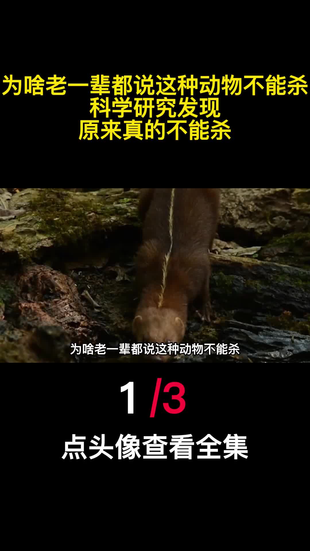 为啥老一辈都说这种动物不能杀科学研究发现原来真的不能杀1