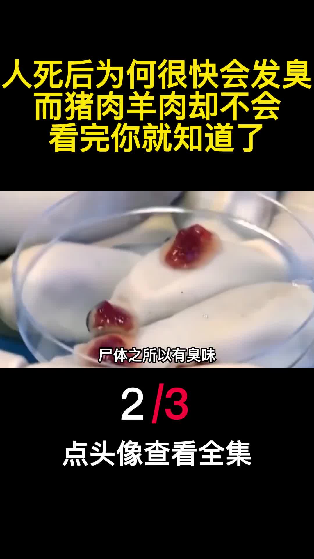 人死后为何很快会发臭而猪肉羊肉却不会看完你就知道了2