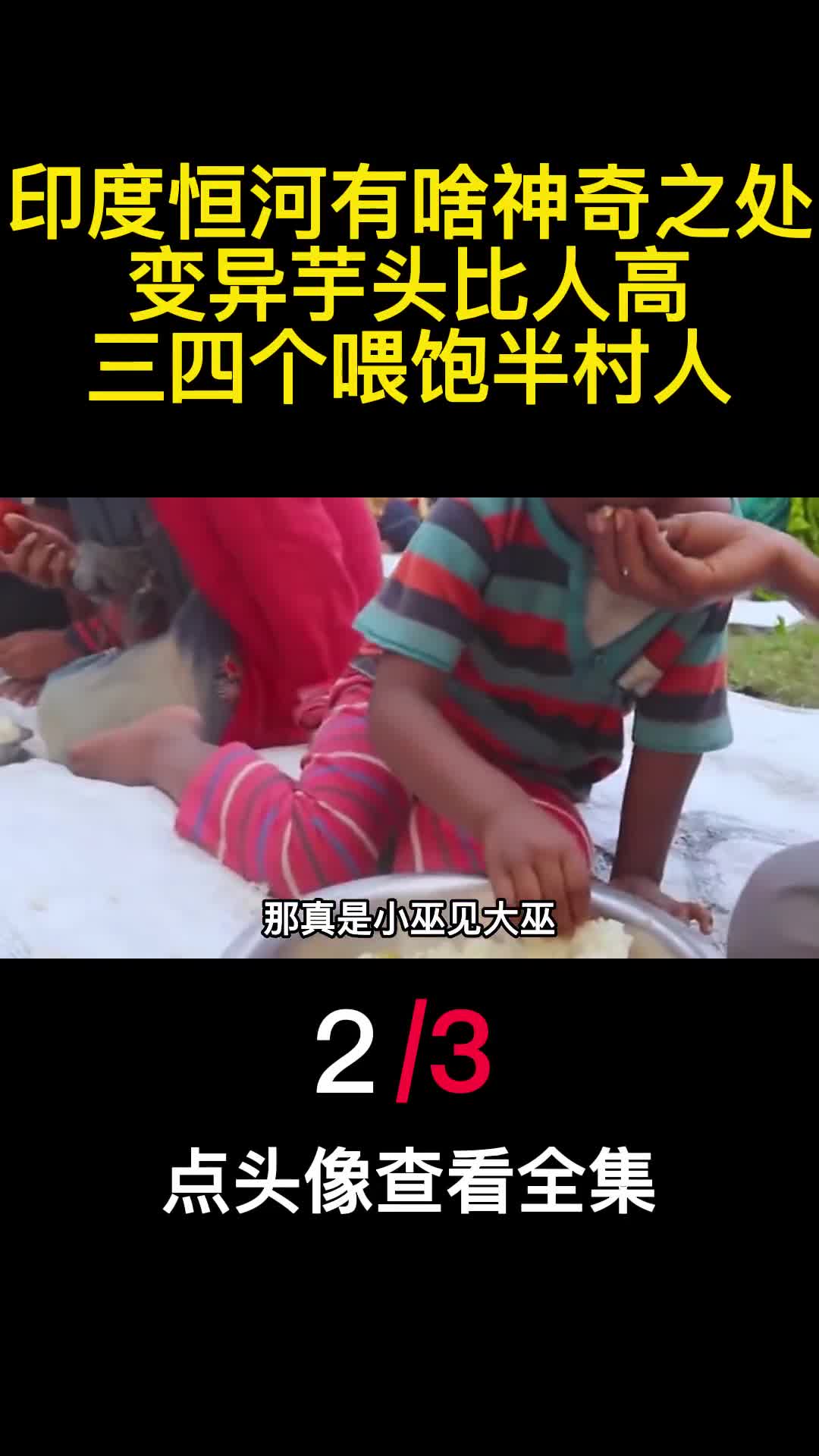 印度恒河有啥神奇之处变异芋头比人高三四个喂饱半村人2