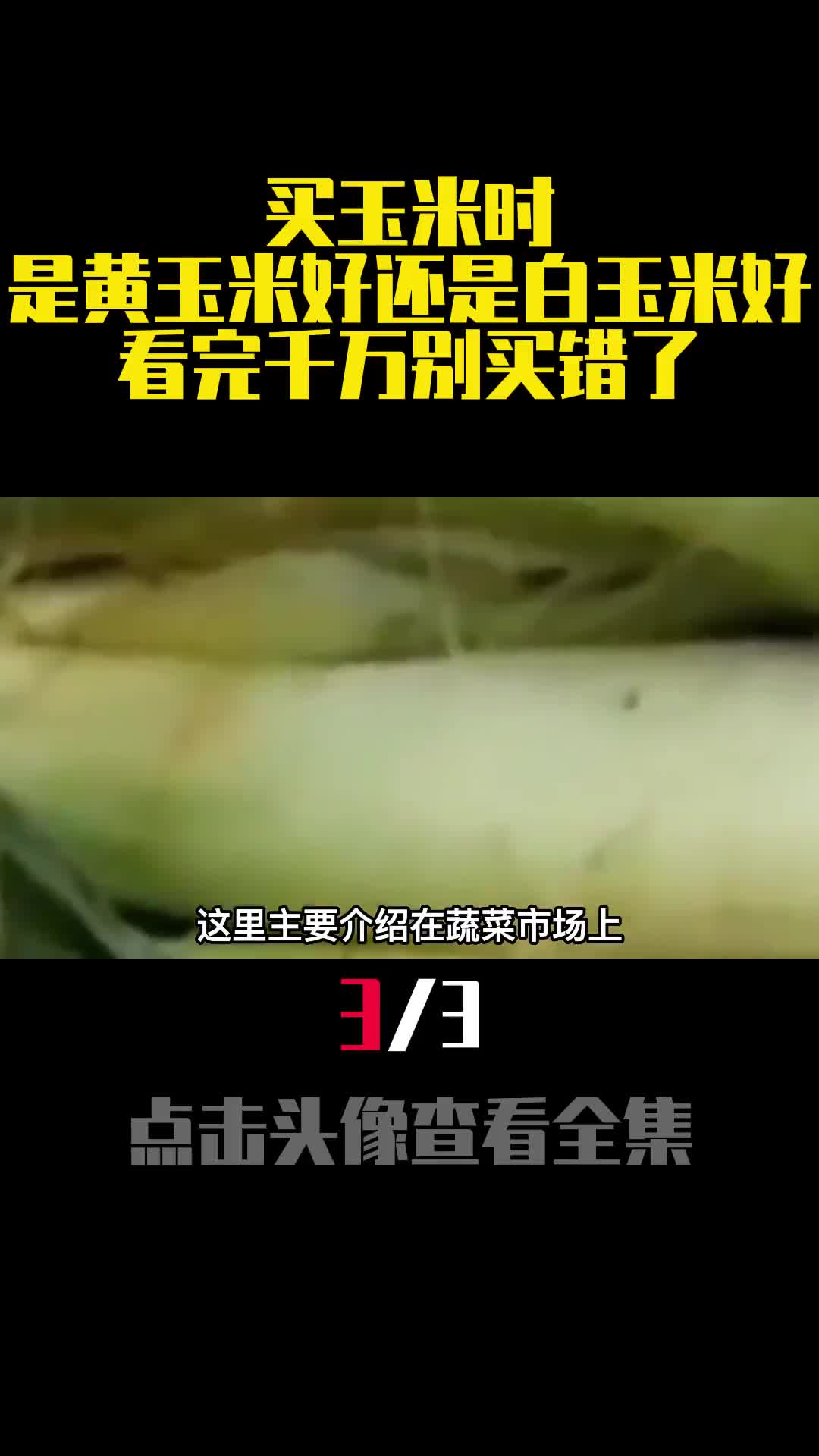 买玉米时是黄玉米好还是白玉米好看完千万别买错了3