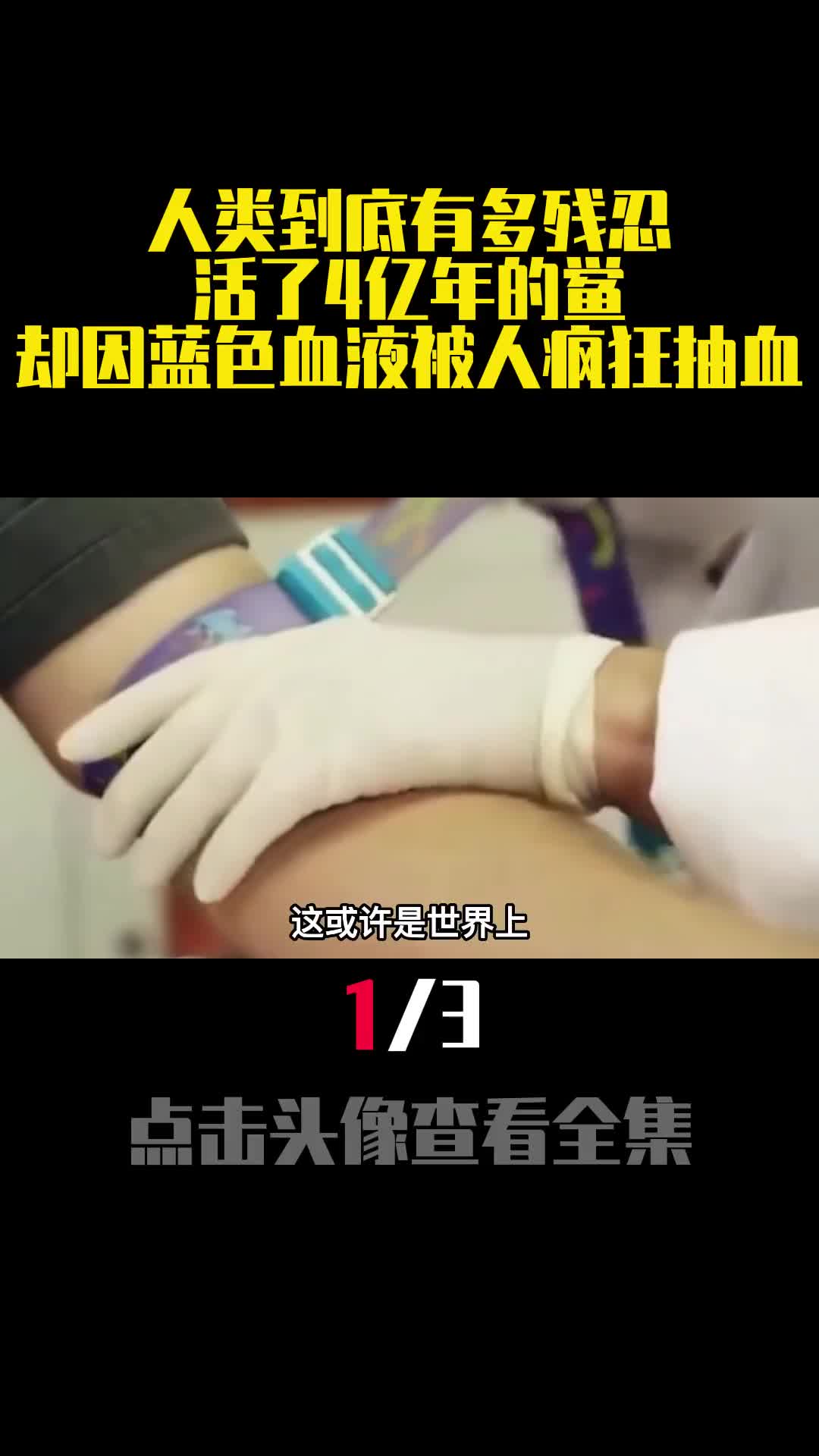 人类到底有多残忍活了4亿年的鲎却因蓝色血液被人疯狂抽血1