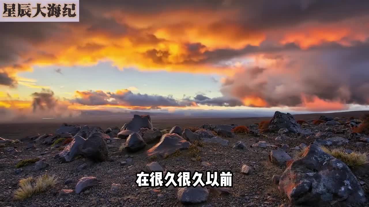 侏罗纪时期恐龙化石被发现皮肤被保留下来看完才知道恐龙长这样