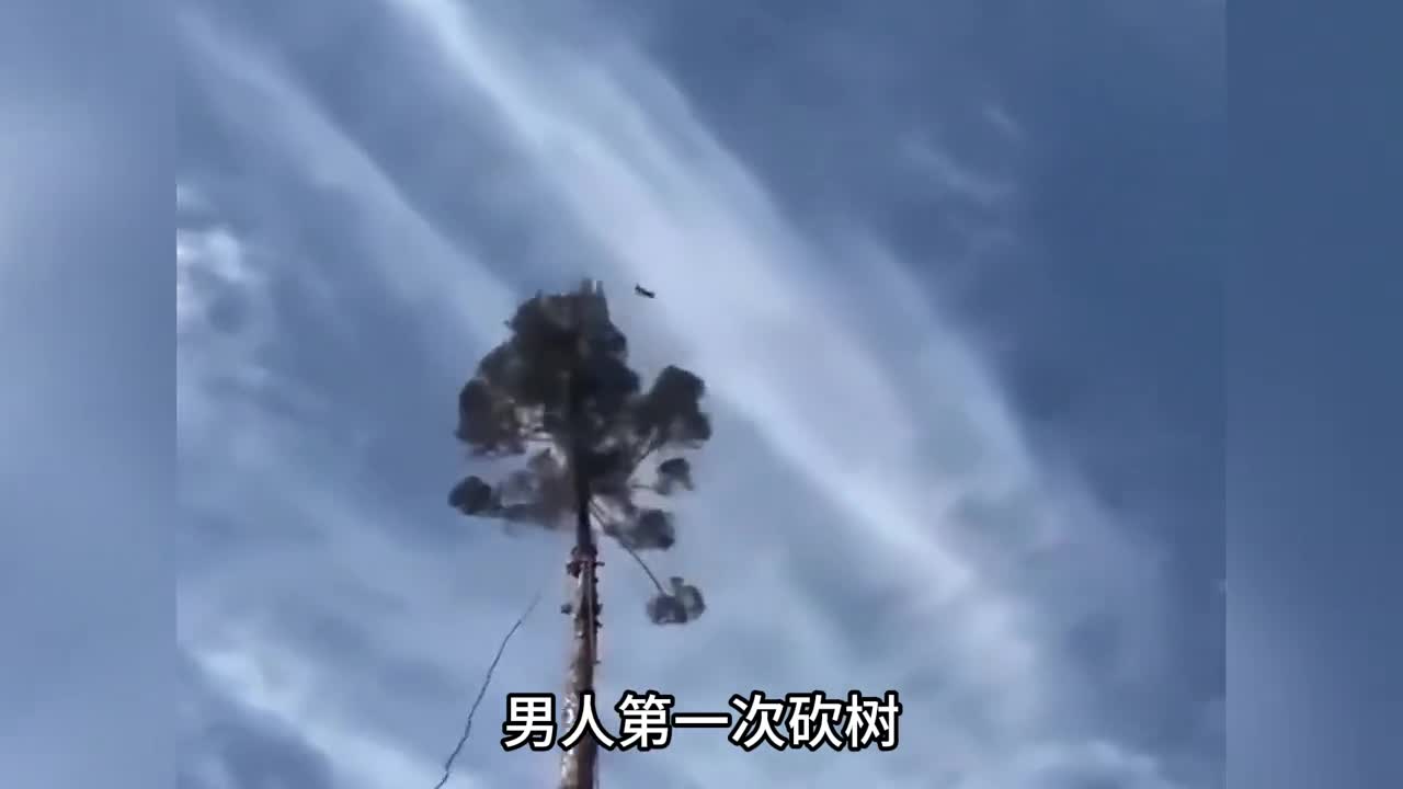 男人第一次砍树却不小心毁坏了松鼠的家