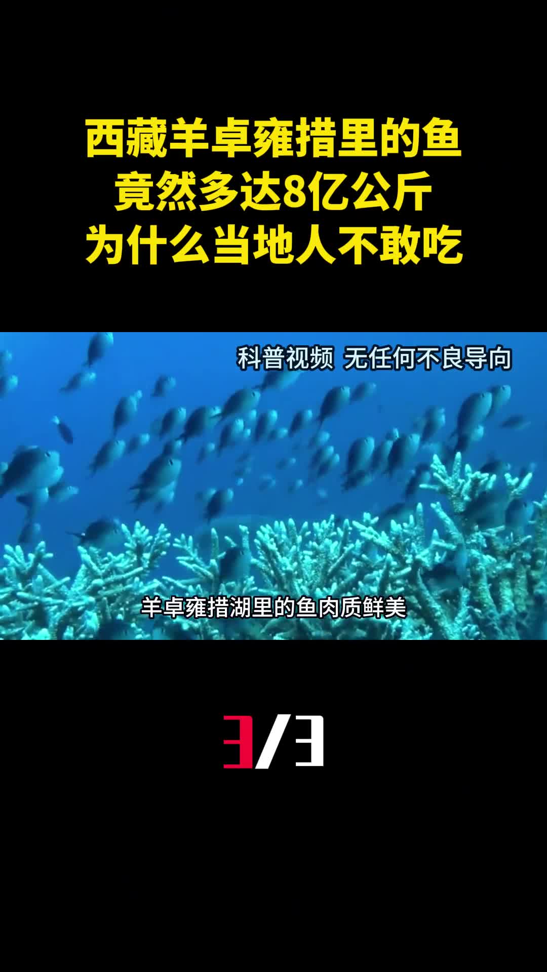 西藏羊卓雍措里的鱼竟然多达8亿公斤为什么当地人不敢吃3