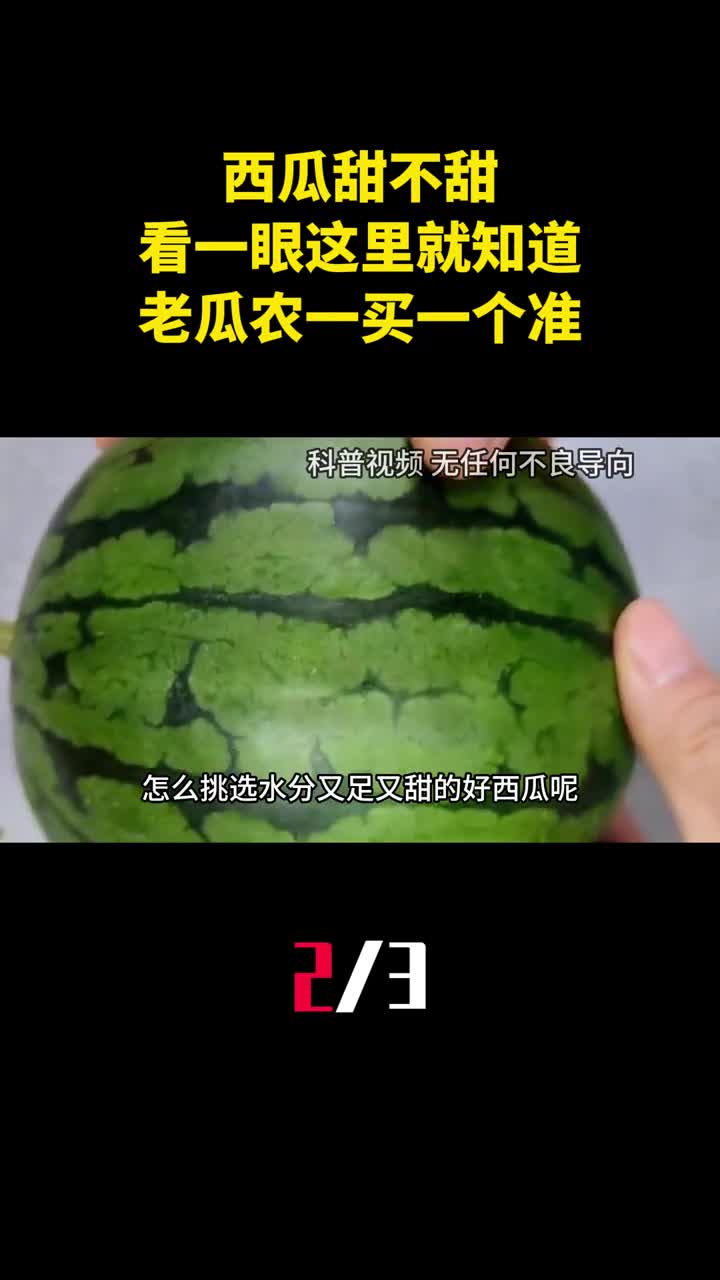 西瓜甜不甜看一眼这里就知道老瓜农的方法一买一个准2