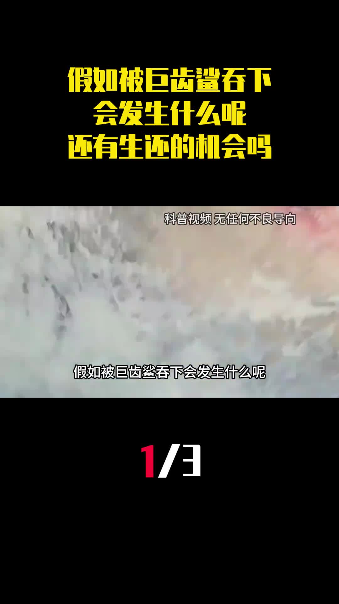 假如被巨齿鲨吞下会发生什么呢还有生还的机会吗1