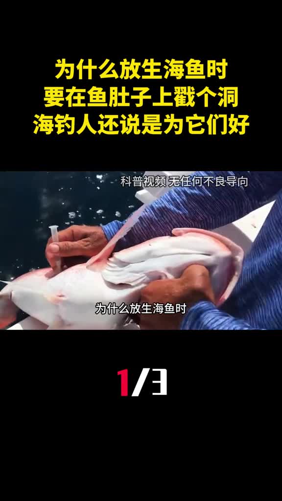 为什么放生海鱼时要在鱼肚子上戳个洞海钓人还说是为它们好1