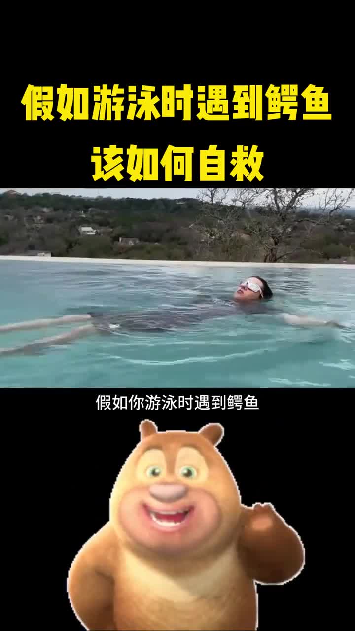 假如游泳时遇到鳄鱼应该怎么办