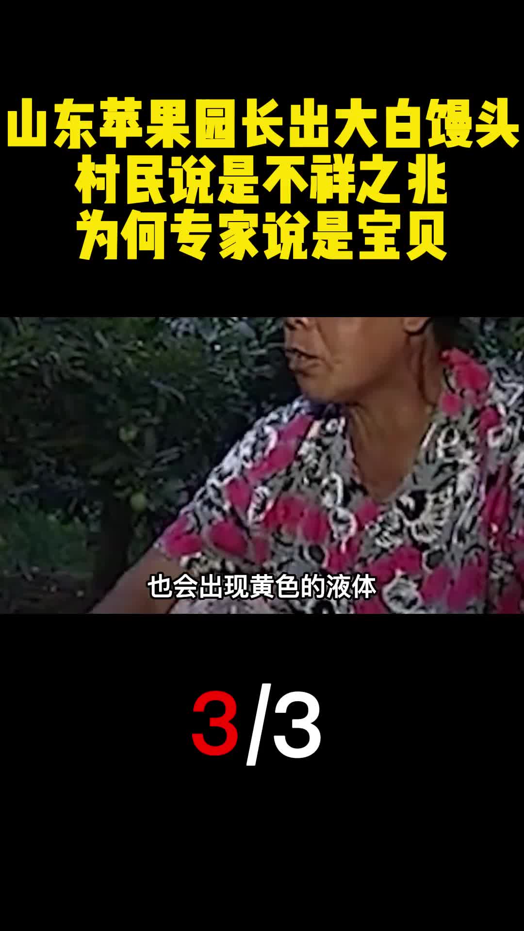 山东苹果园长出大白馒头村民说是不祥之兆为何专家说是宝贝3
