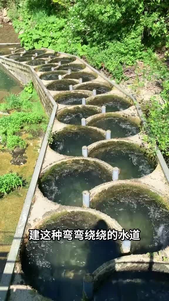 这些奇形怪状的水道它是干嘛用的