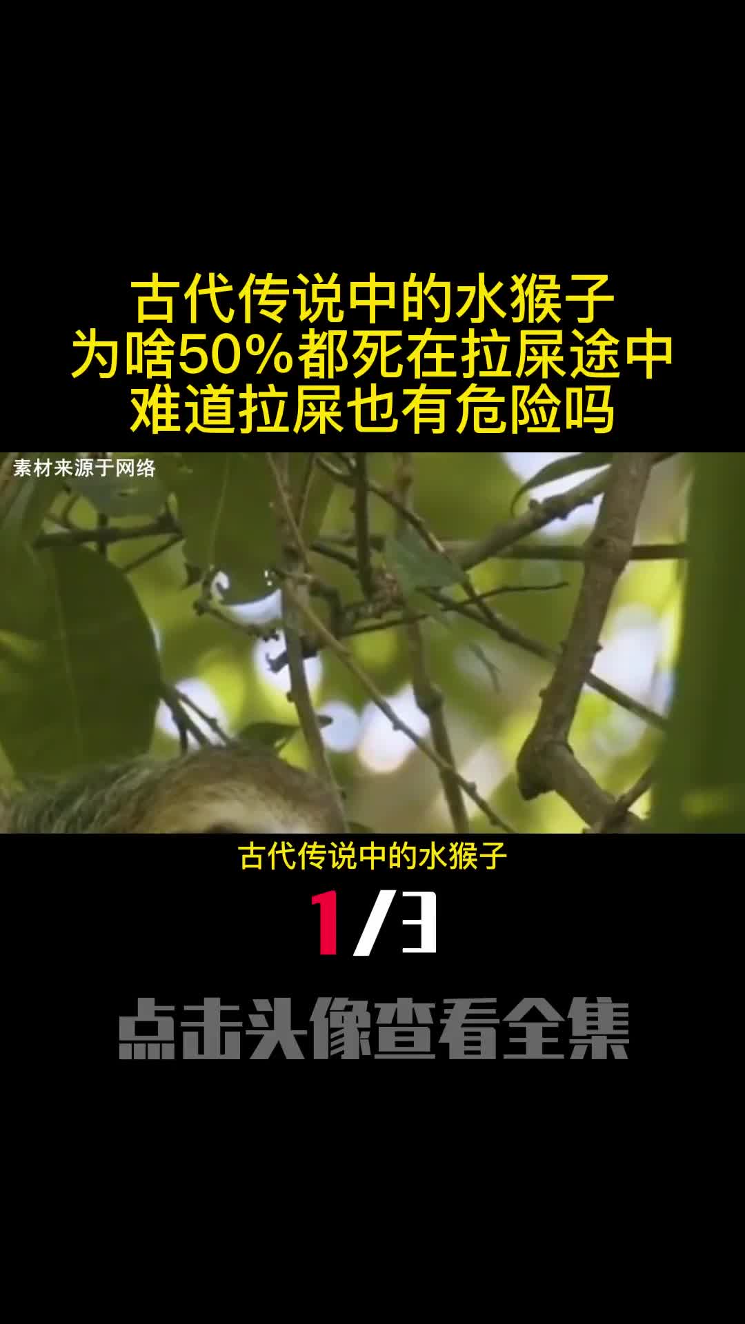 古代传说中的水猴子为啥50都死在拉屎途中难道拉屎也有危险吗1