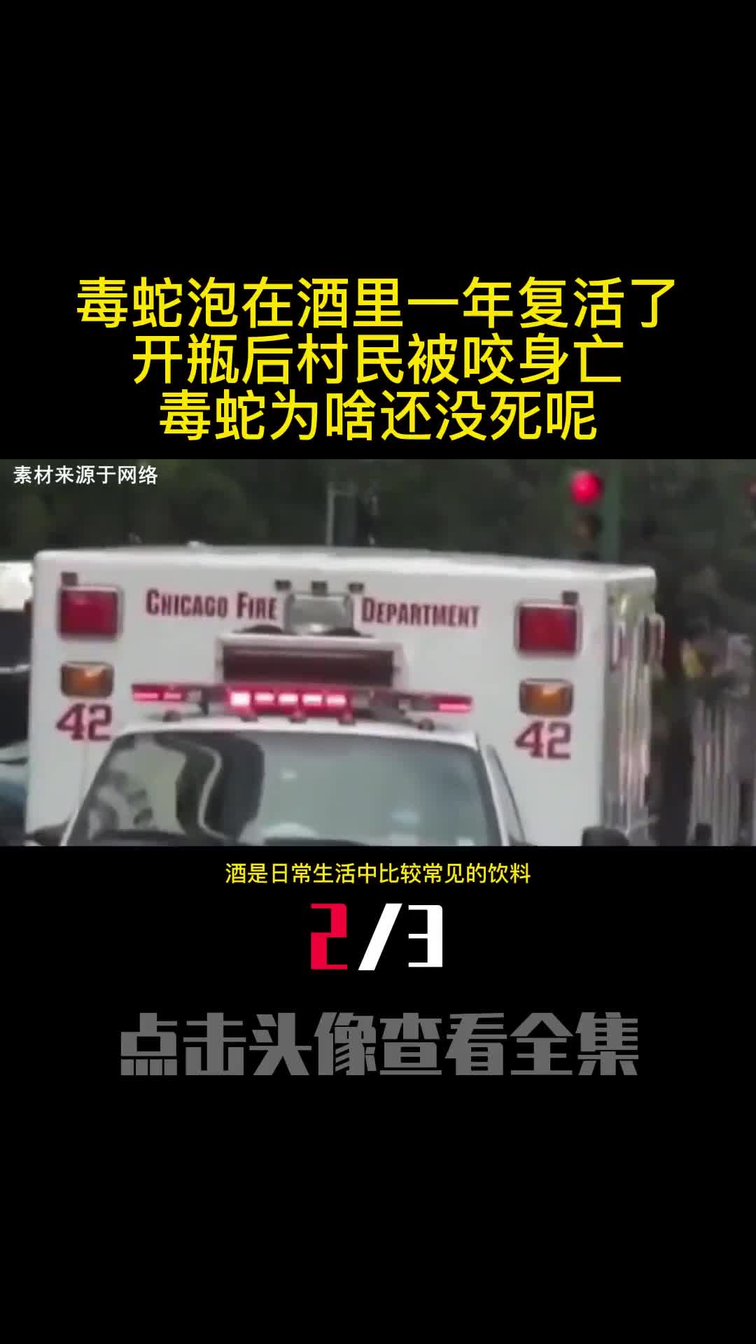 毒蛇泡在酒里一年复活了开瓶后村民被咬身亡毒蛇为啥还没死呢2