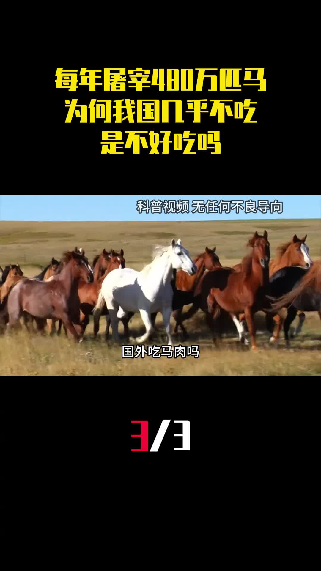 全球每年屠宰480万匹马为何我国几乎不吃马肉是不好吃吗3