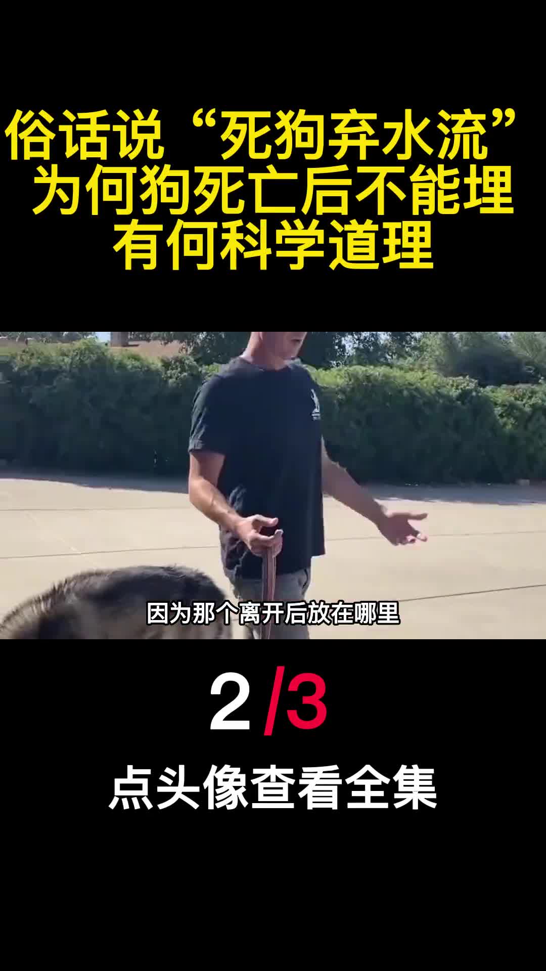 俗话说死狗弃水流为何狗死亡后不能埋有何科学道理2