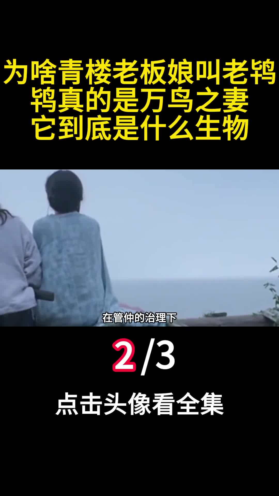 为啥青楼老板娘叫老鸨鸨真的是万鸟之妻它到底是什么生物二