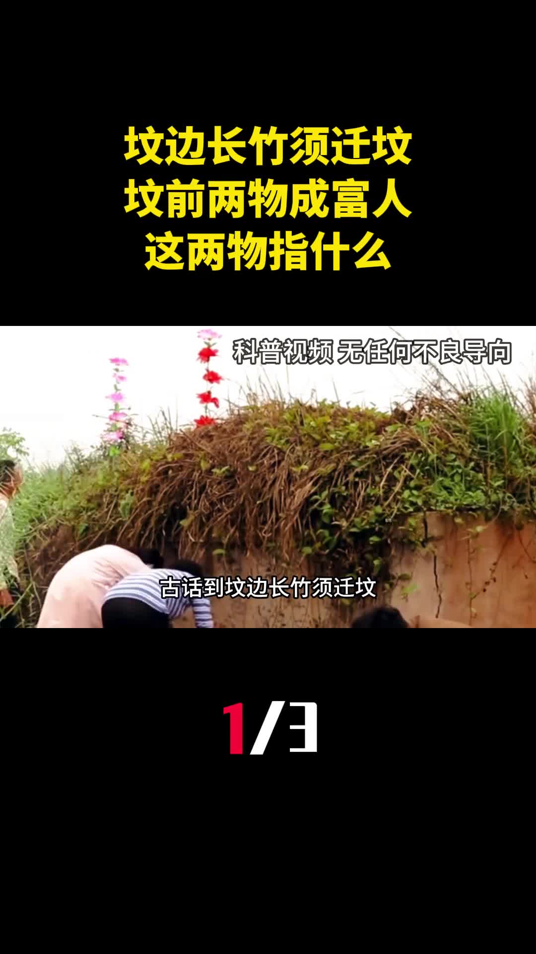 古话道坟边长竹须迁坟坟前两物成富人这两物指什么1