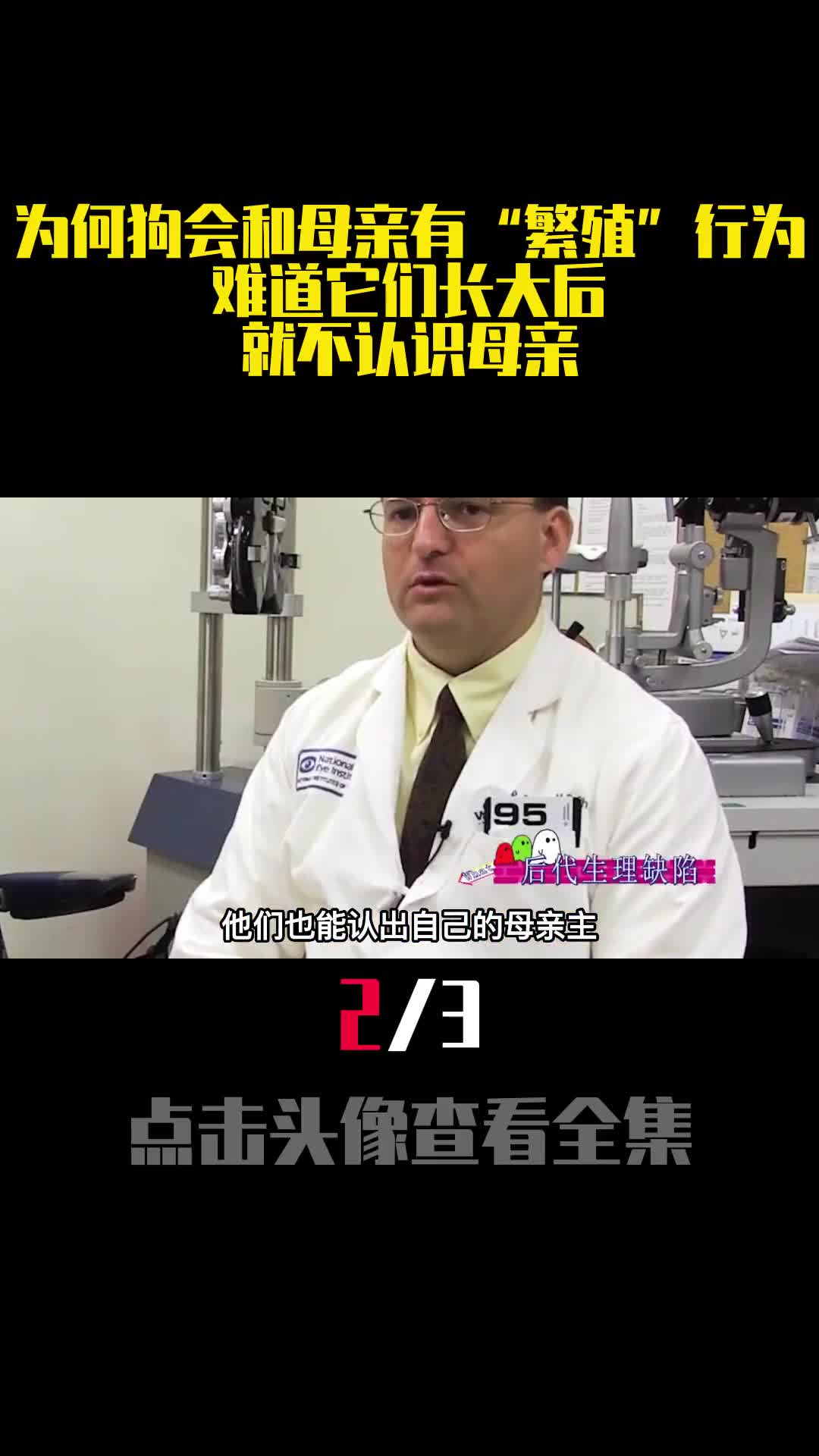 为何狗会和母亲有繁殖行为难道它们长大后就不认识母亲2