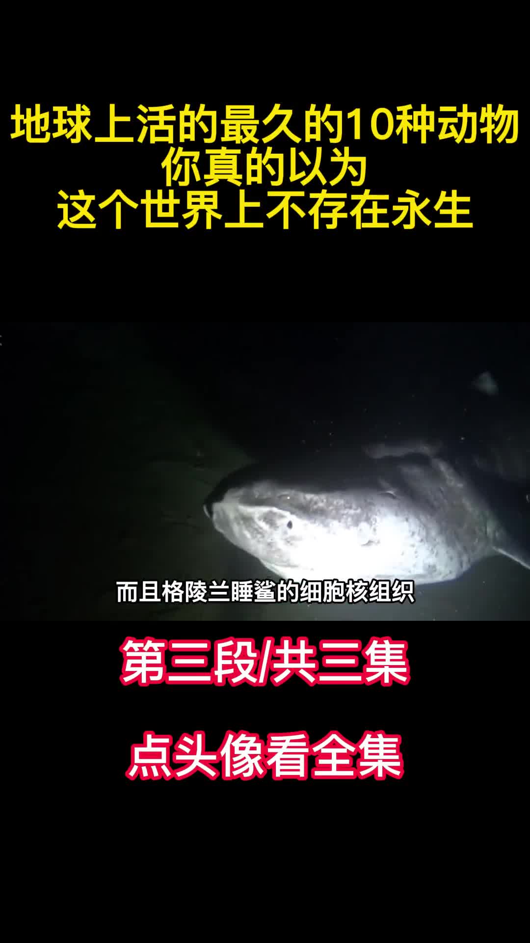 地球上活的最久的10种动物你真的以为这个世界上不存在永生3