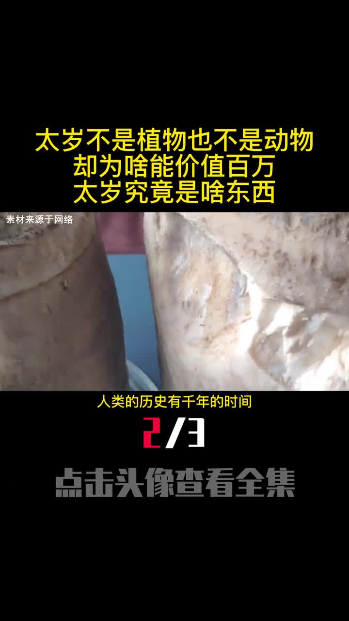 太岁不是植物也不是动物却为啥能价值百万太岁究竟是啥东西2