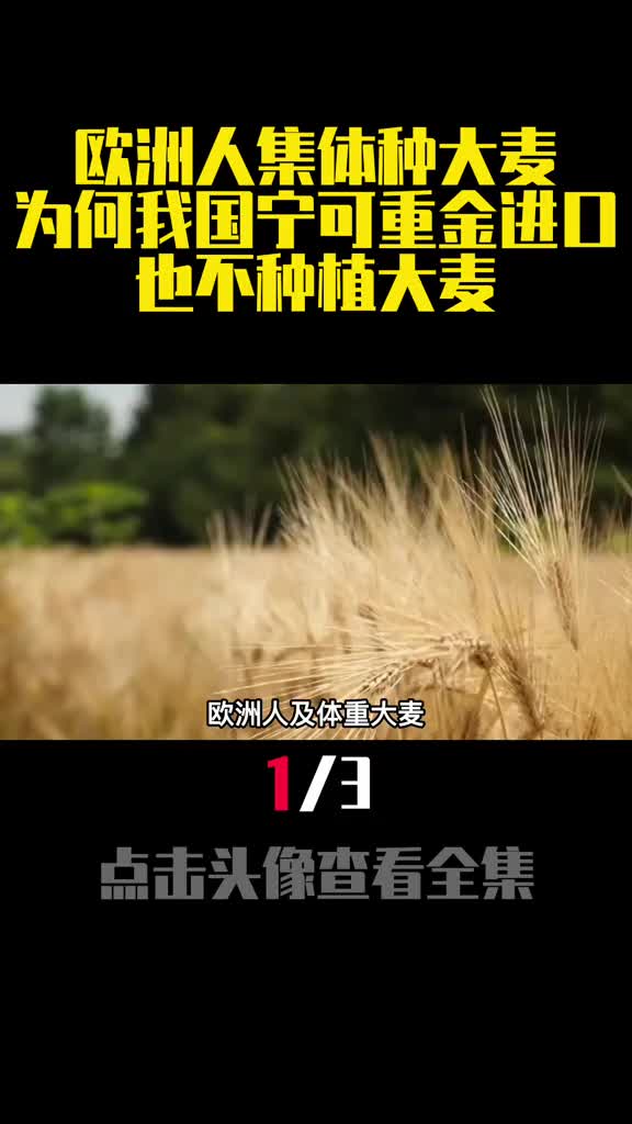 欧洲人集体种大麦为何我国宁可重金进口也不种植大麦1