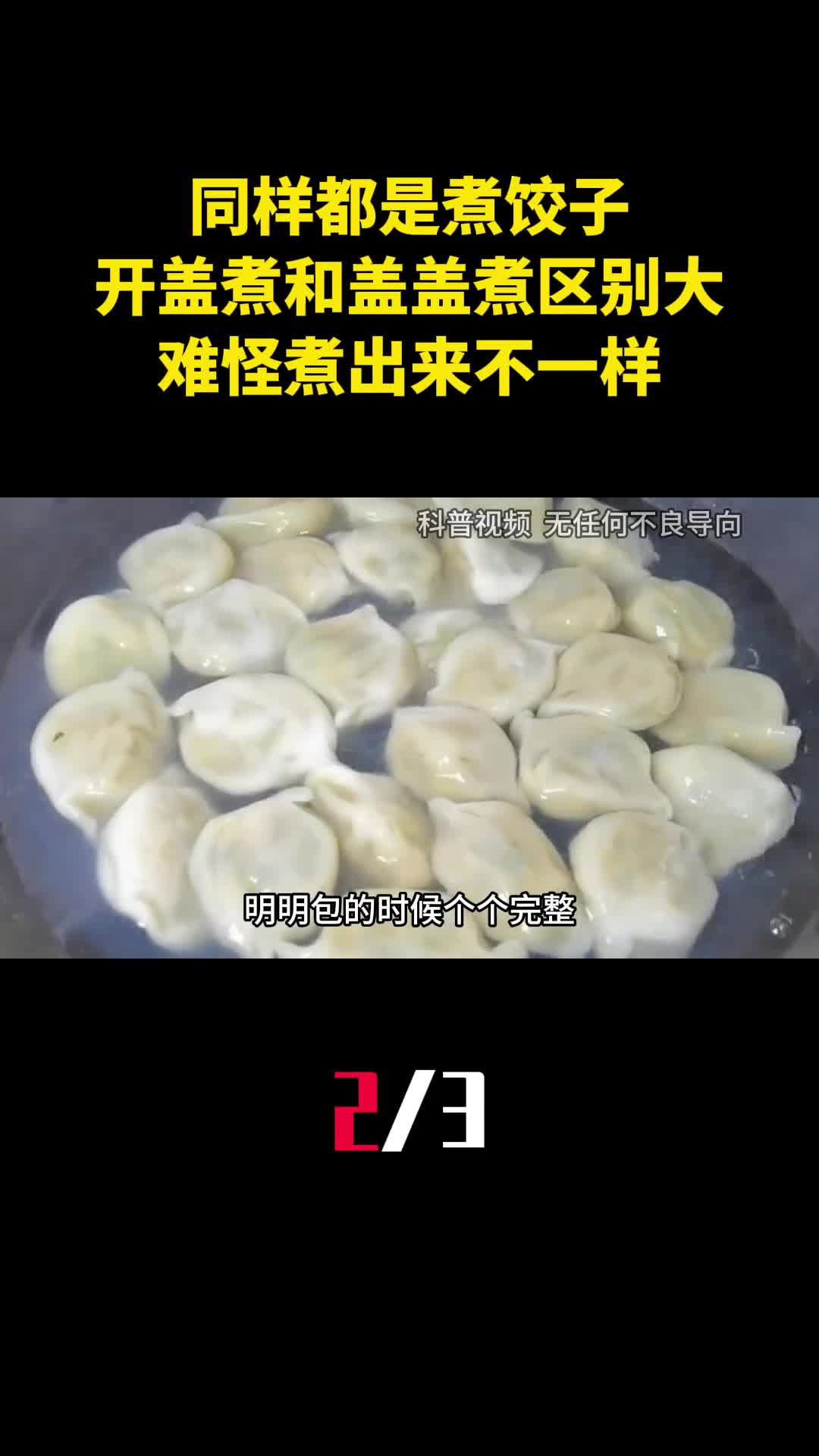 同样都是煮饺子开盖煮和盖盖煮区别很大难怪煮出来不一样2
