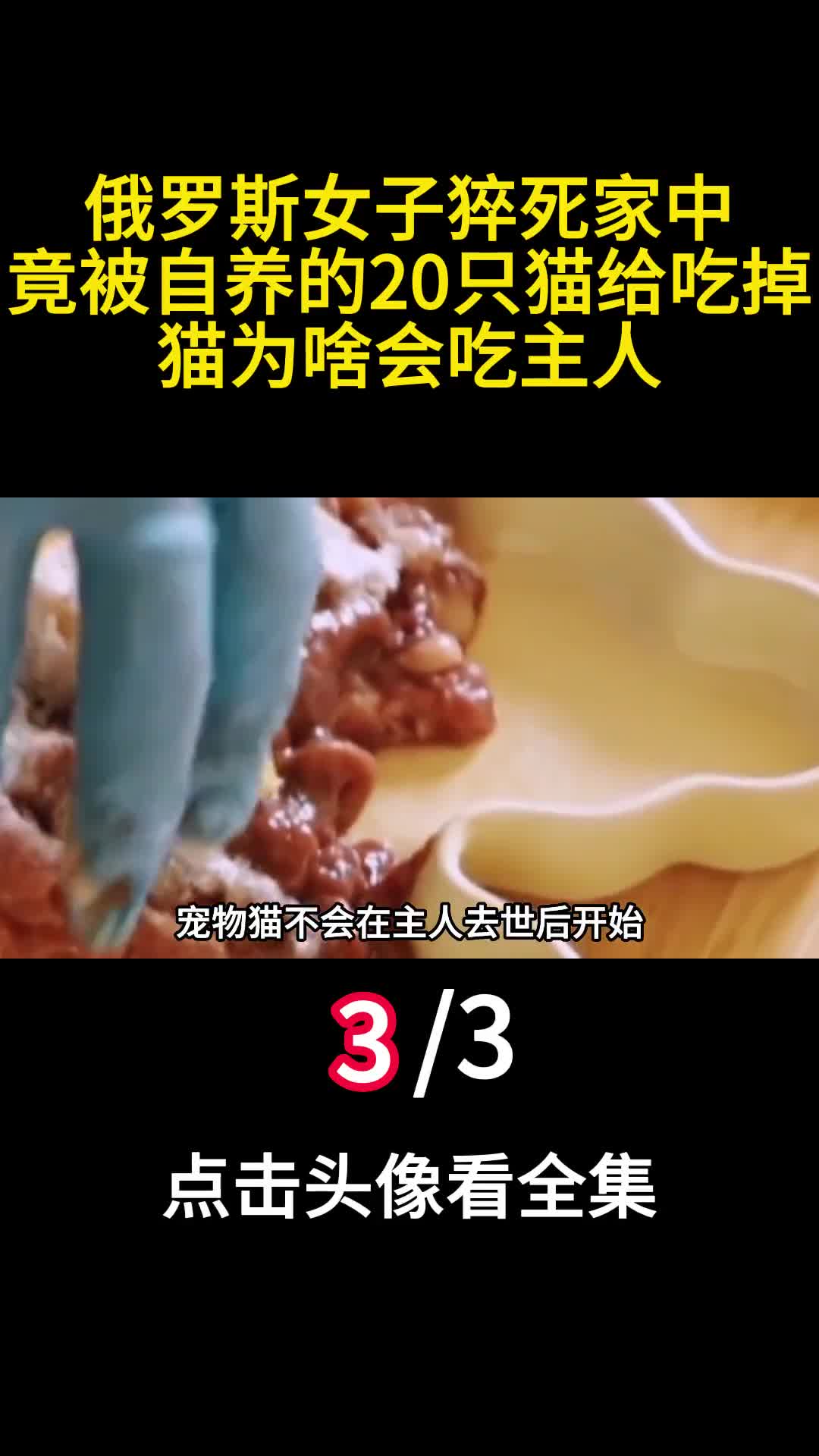 俄罗斯女子猝死家中竟被自养的20只猫给吃掉猫为啥会吃主人3