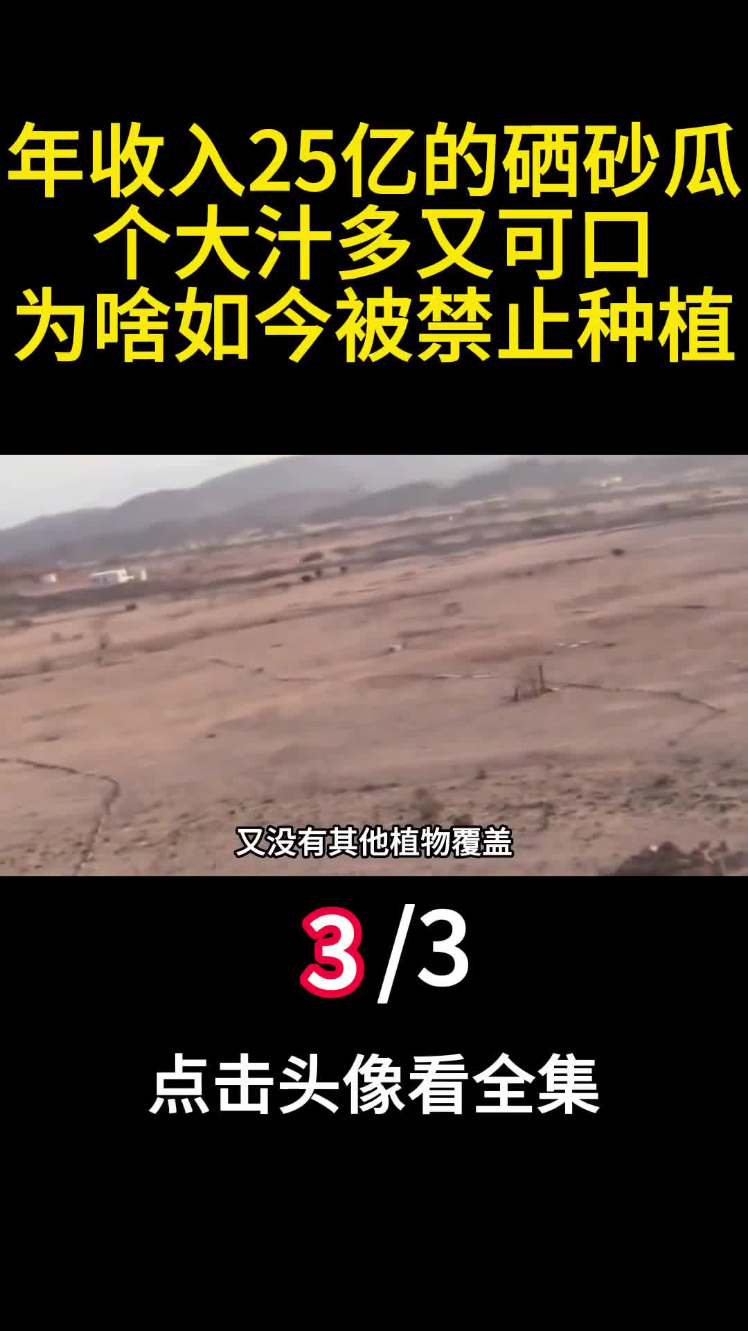 年收入25亿的硒砂瓜个大汁多又可口为啥如今被禁止种植3