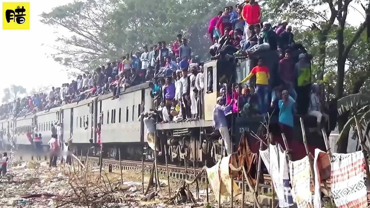 叮咚鸡小曲儿一来我就知道视频不简单了