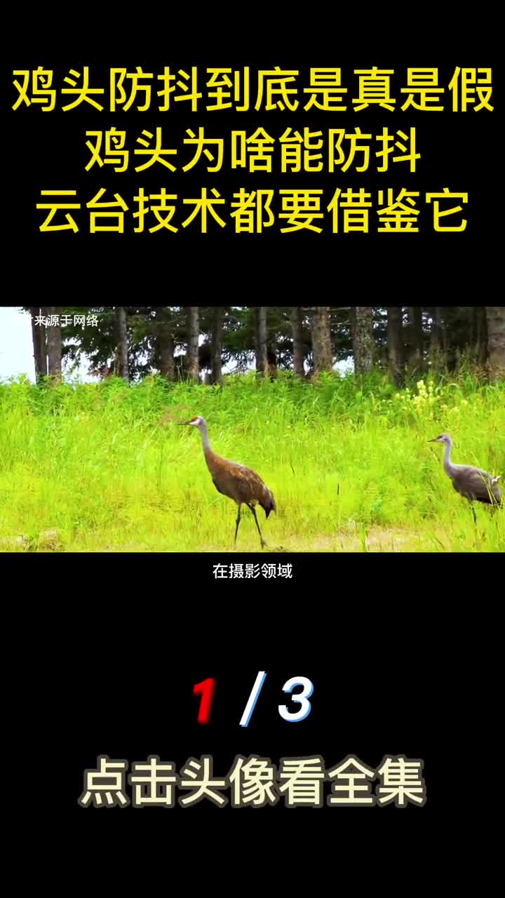 鸡头防抖到底是真是假鸡头为啥能防抖云台技术都要借鉴它