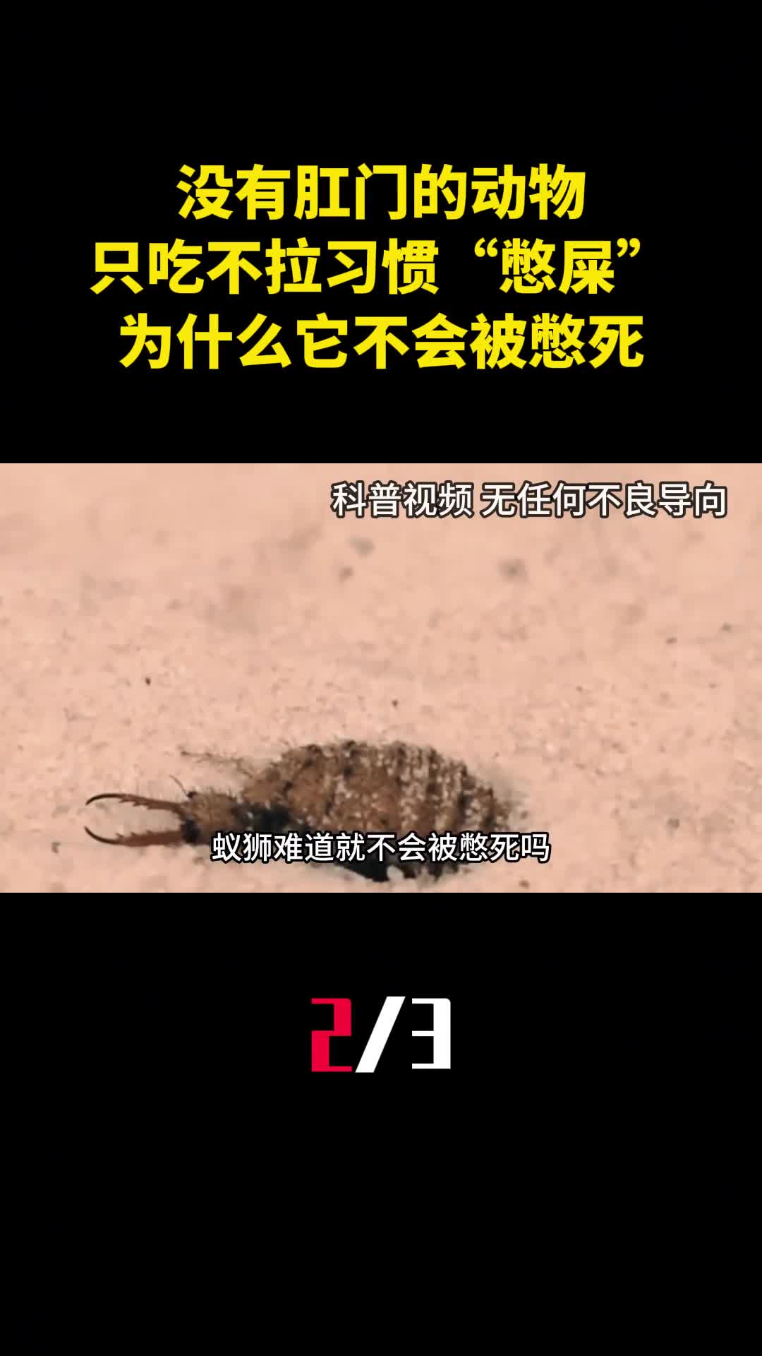 没有肛门的动物只吃不拉习惯憋屎为什么它不会被憋死2