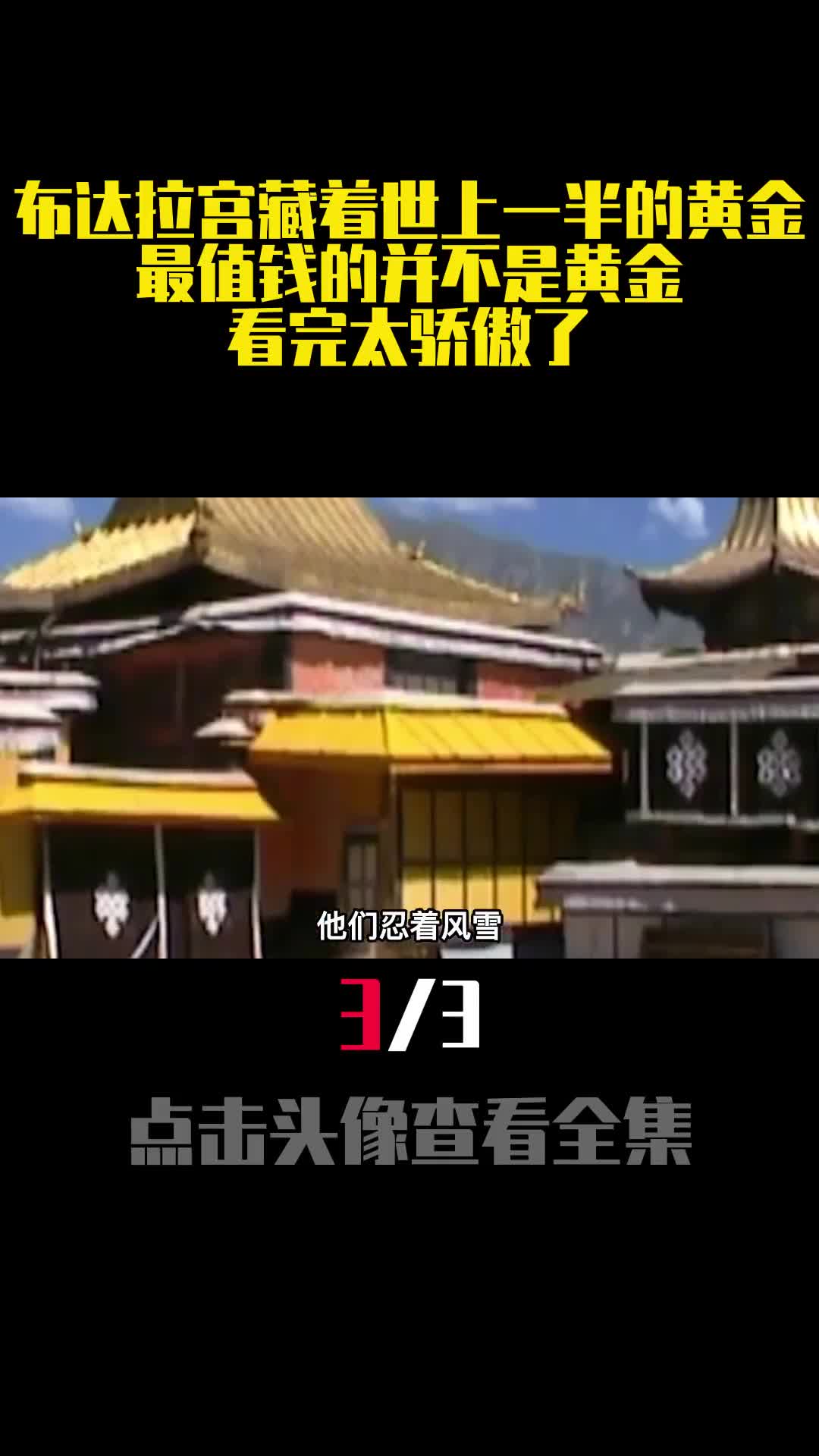 布达拉宫藏着世上一半的黄金最值钱的并不是黄金看完太骄傲了3