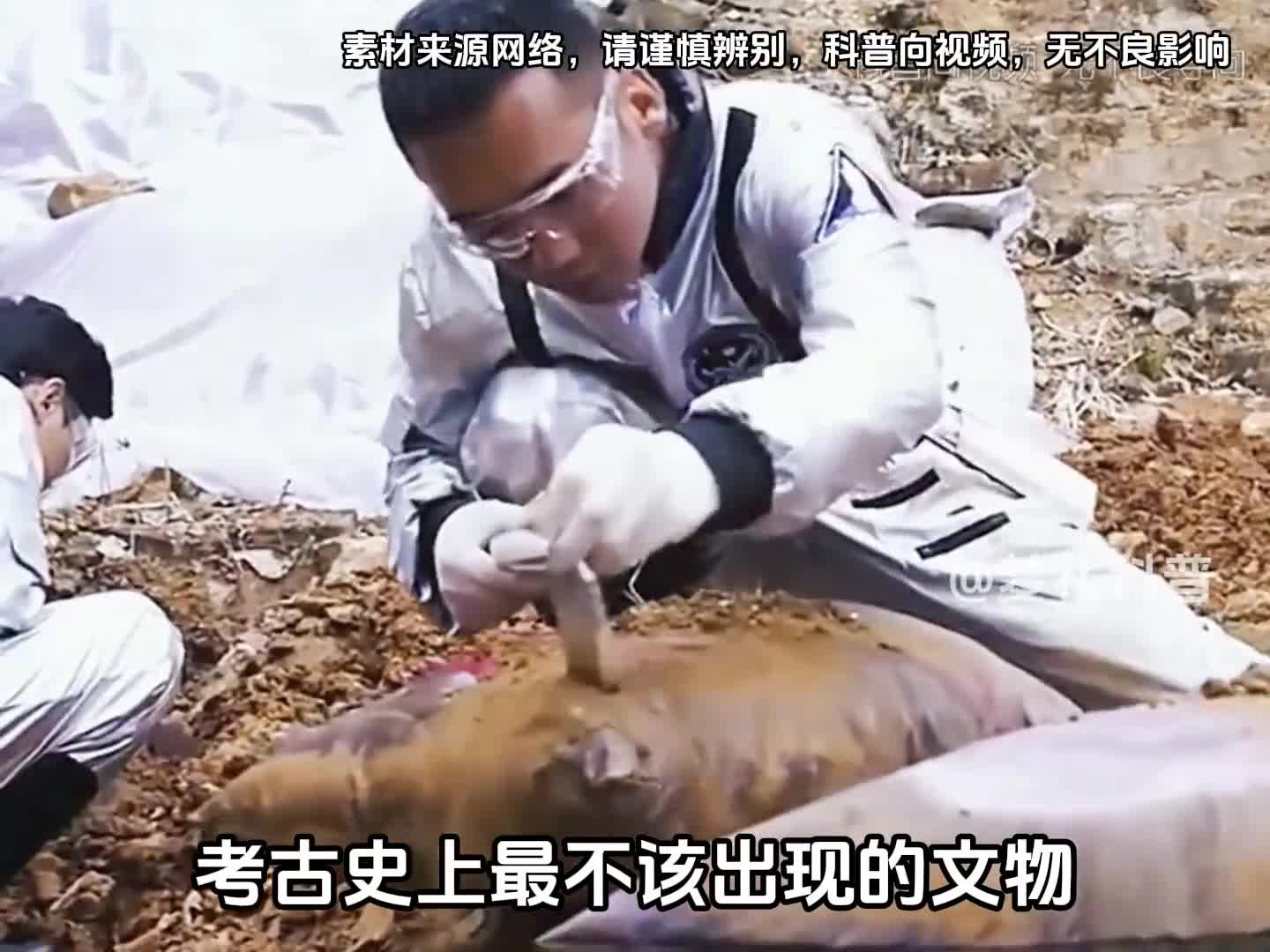 这些文物你觉得是穿越者带过去的吗