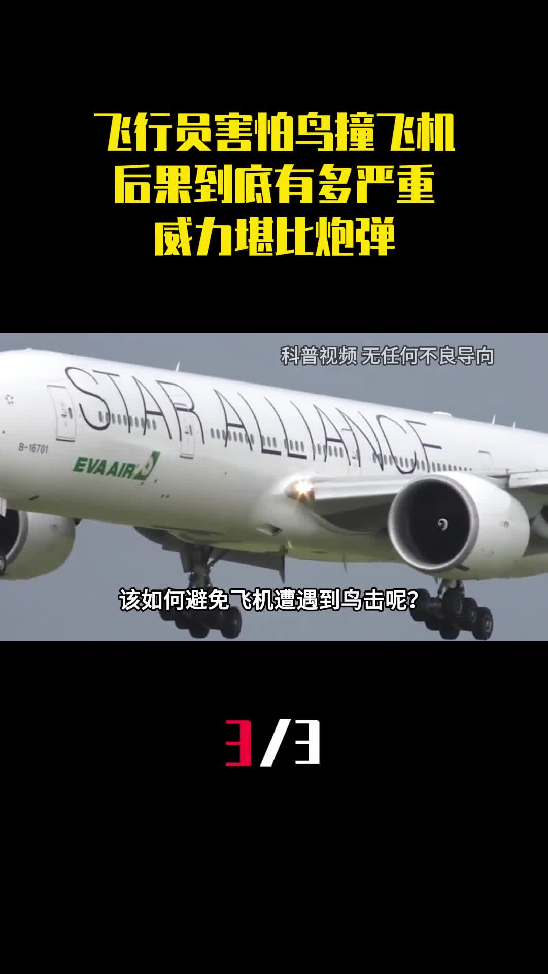 为什么飞行员害怕鸟撞飞机后果到底有多严重威力堪比炮弹3
