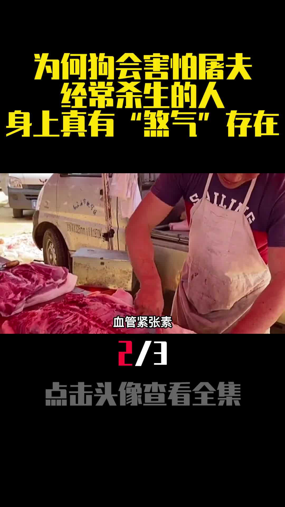 为何狗会害怕屠夫经常杀生的人身上真有煞气存在2