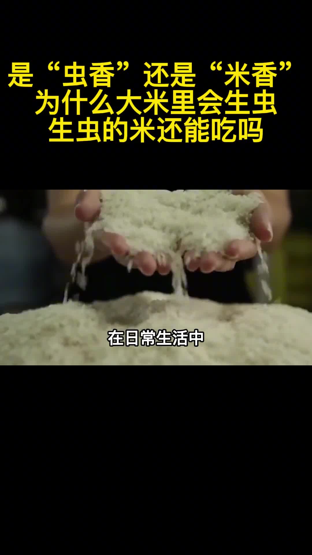 是虫香还是米香为什么大米里会生虫生虫的米还能吃吗1