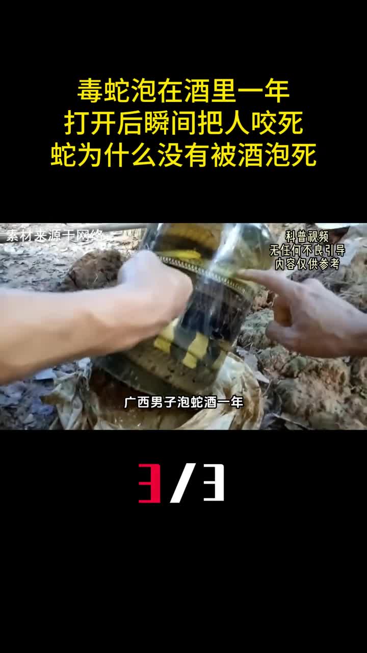 毒蛇泡在酒里一年打开后瞬间把人咬死蛇为什么没有被酒泡死3