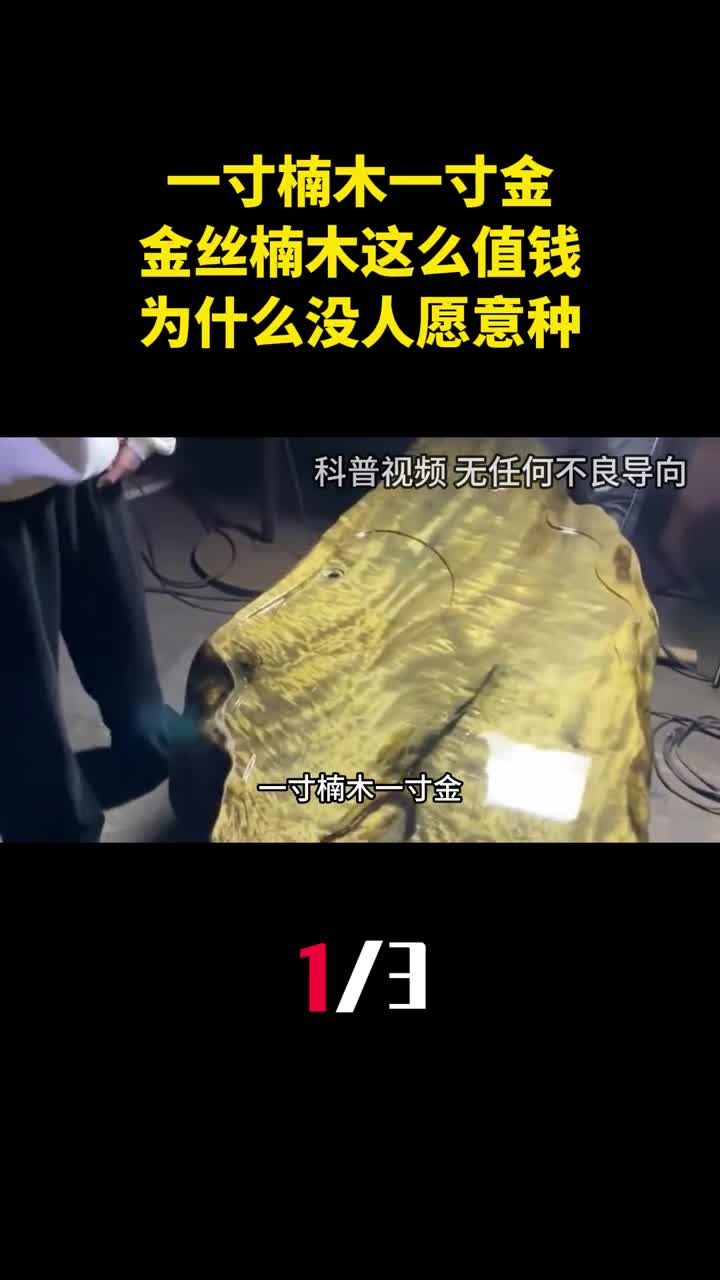 一寸楠木一寸金金丝楠木这么值钱为什么没人愿意种1