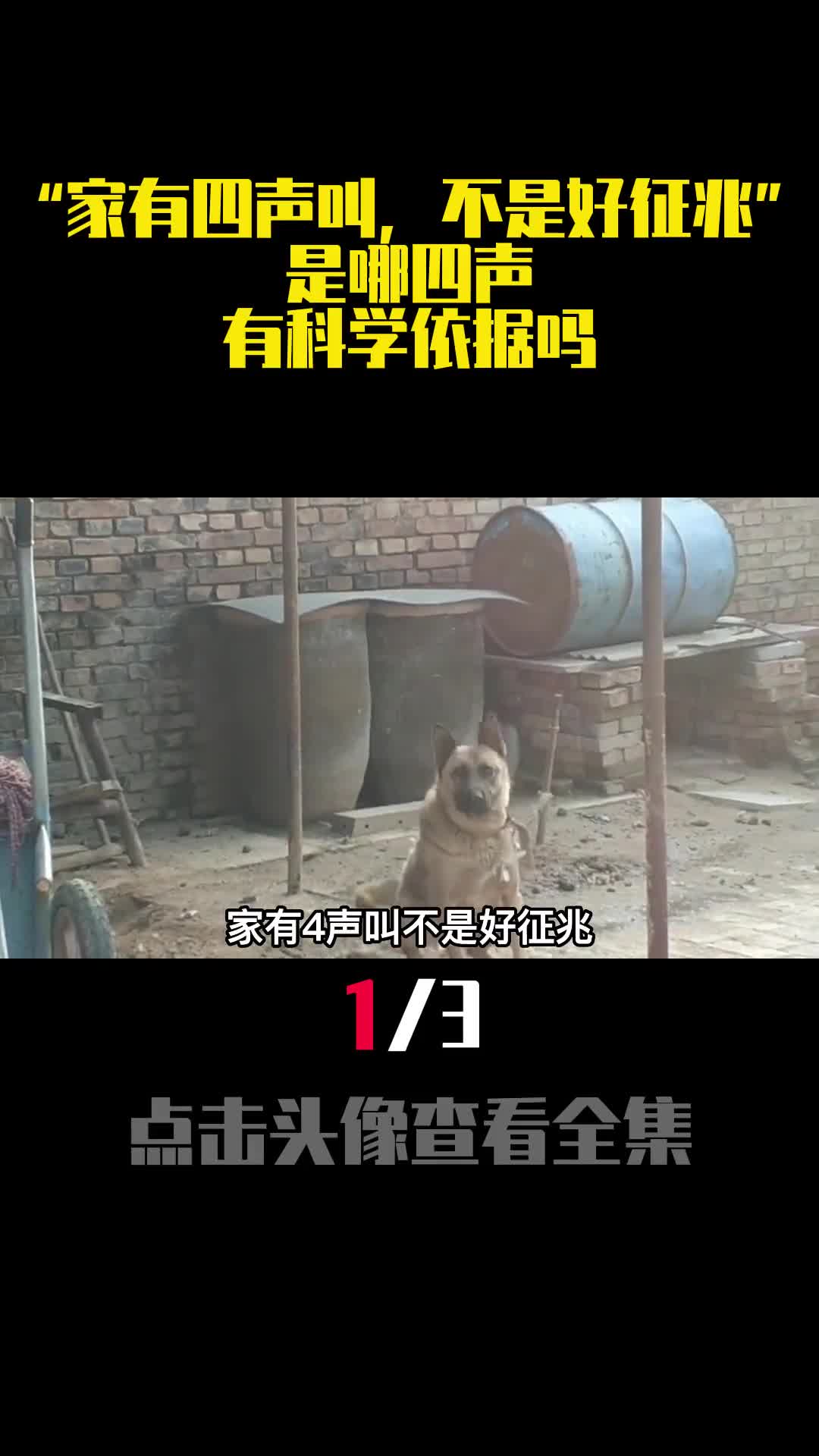 家有四声叫不是好征兆是哪四声有科学依据吗1